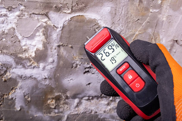 Best Mold Damage Repair  in Far Hills, NJ