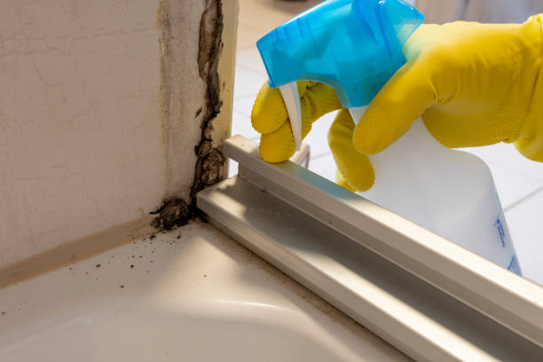 Best Toxic Mold Removal  in Far Hills, NJ