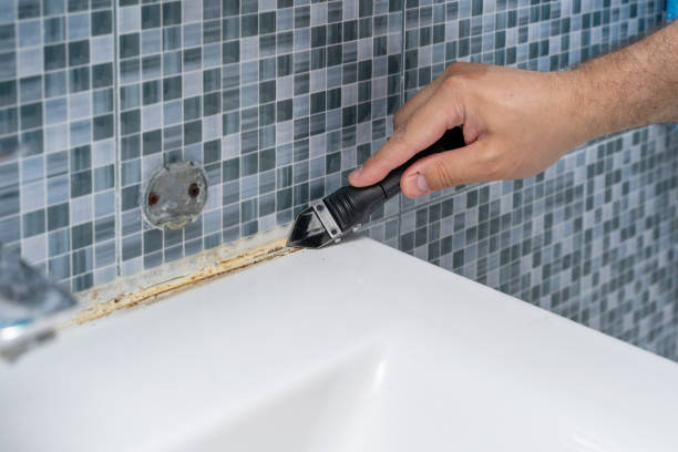 Best Affordable Mold Removal  in Far Hills, NJ
