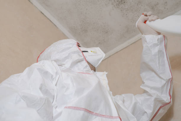 Best Office Mold Removal Services  in Far Hills, NJ