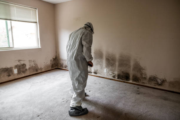 Best Commercial Mold Removal  in Far Hills, NJ