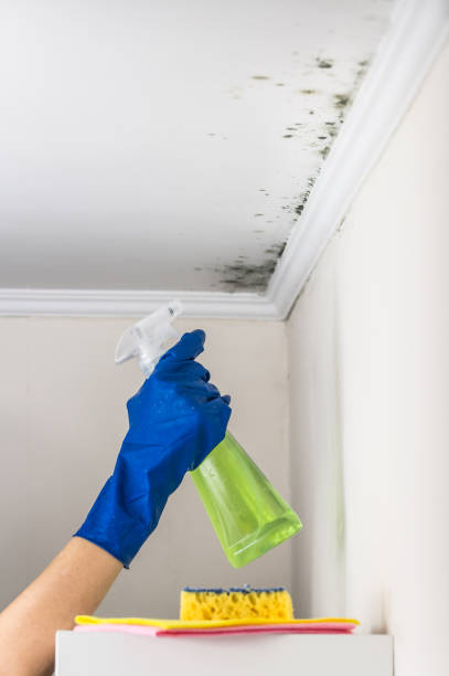Best Crawl Space Mold Removal  in Far Hills, NJ